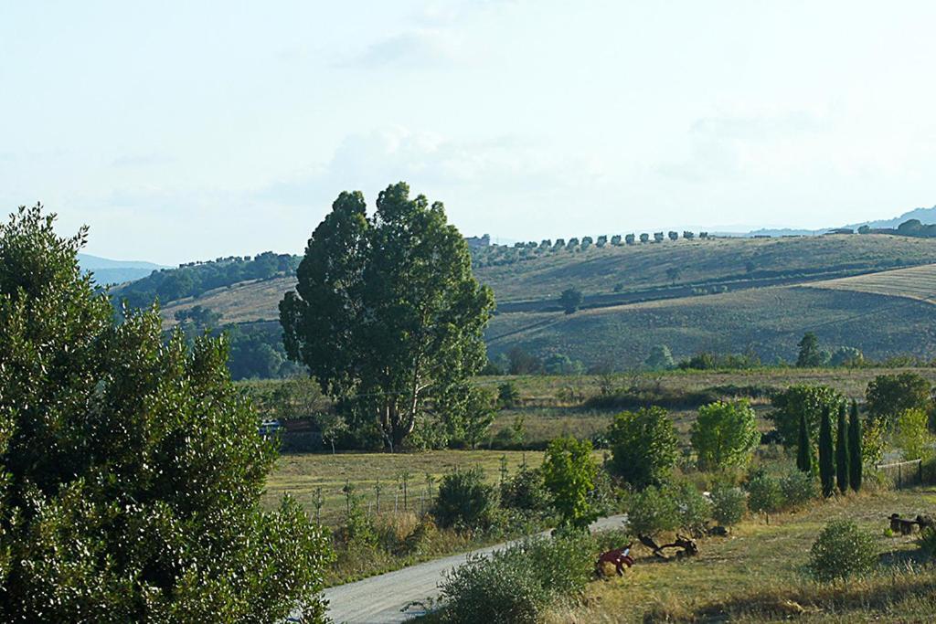 ساتورنيا Agriturismo Poggio Alle Calle المظهر الخارجي الصورة